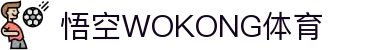 悟空·(中国)体育官方网站-WOKONG SPORTS"